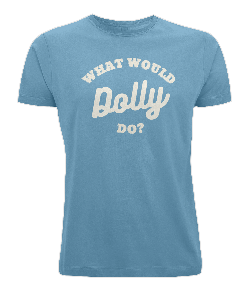 What Would Dolly Do? - Curve T-Shirt